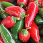 Jalapeno